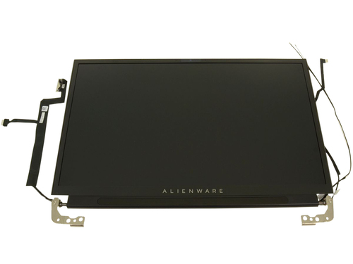 Dell DWDFH 173inch LCD Screen Assembly