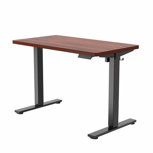 Flexispot E2B4224N Single Monitor Standing Desk E2