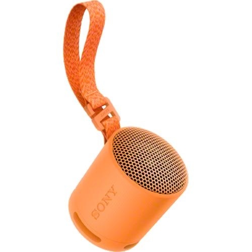 Sony SRS-XB100/D Portable Wireless Speaker