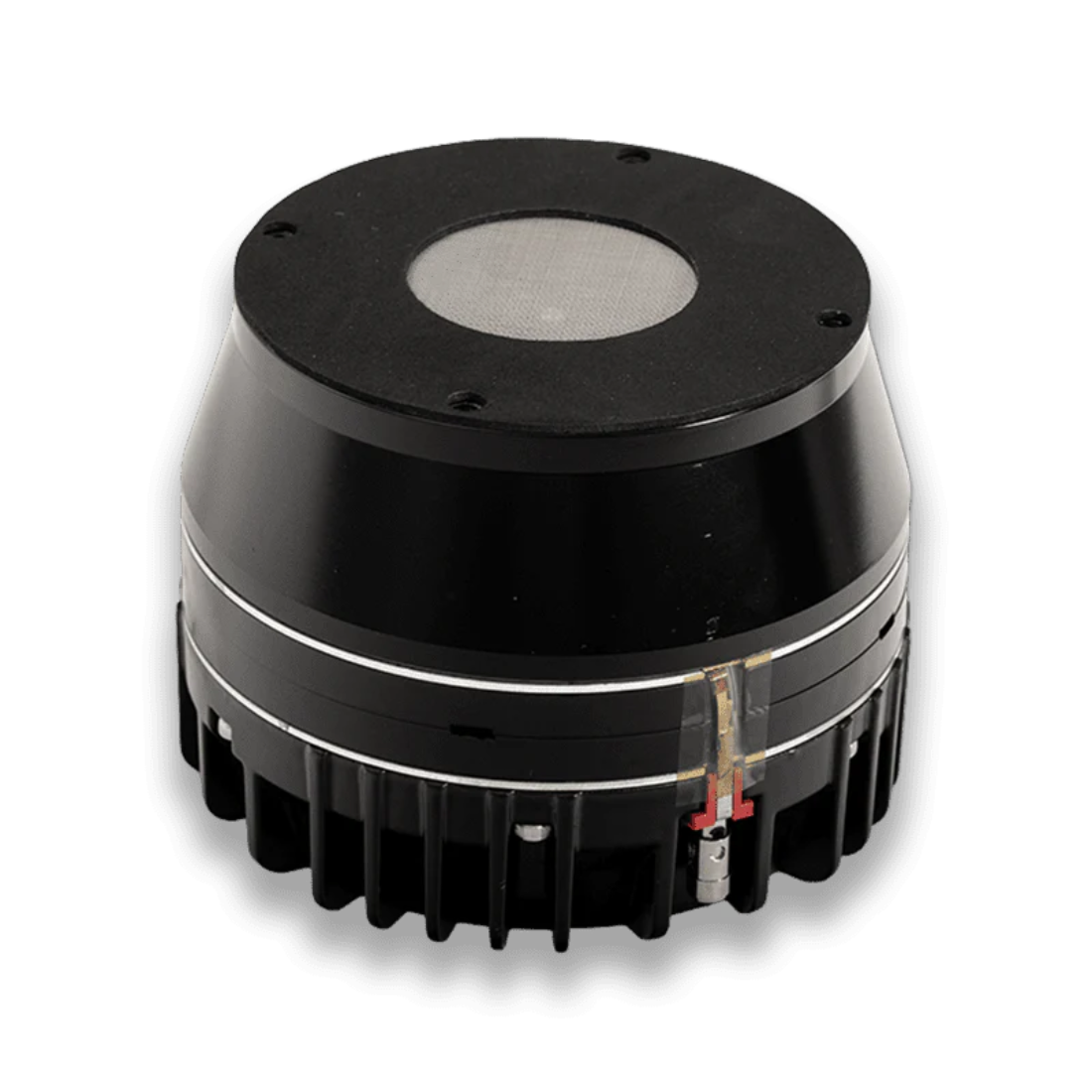 Nemesis Audio D5544-NEO 2