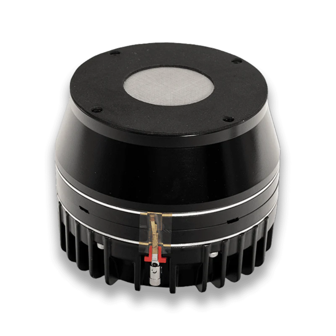 Nemesis Audio D5544-NEO 2