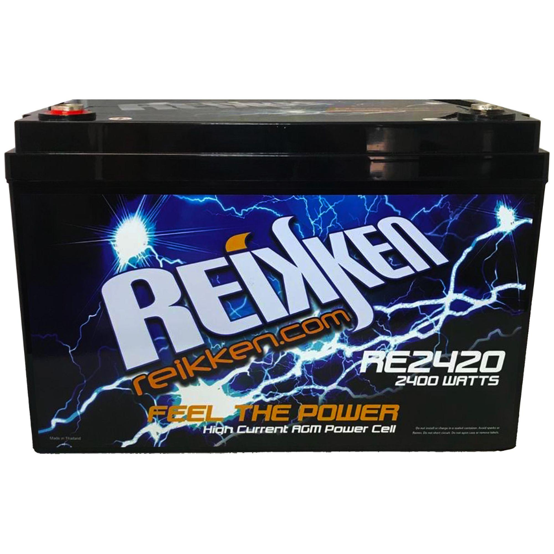 Reikken RE2420 Group 31 110aH 2400 Watts High Current AGM Power