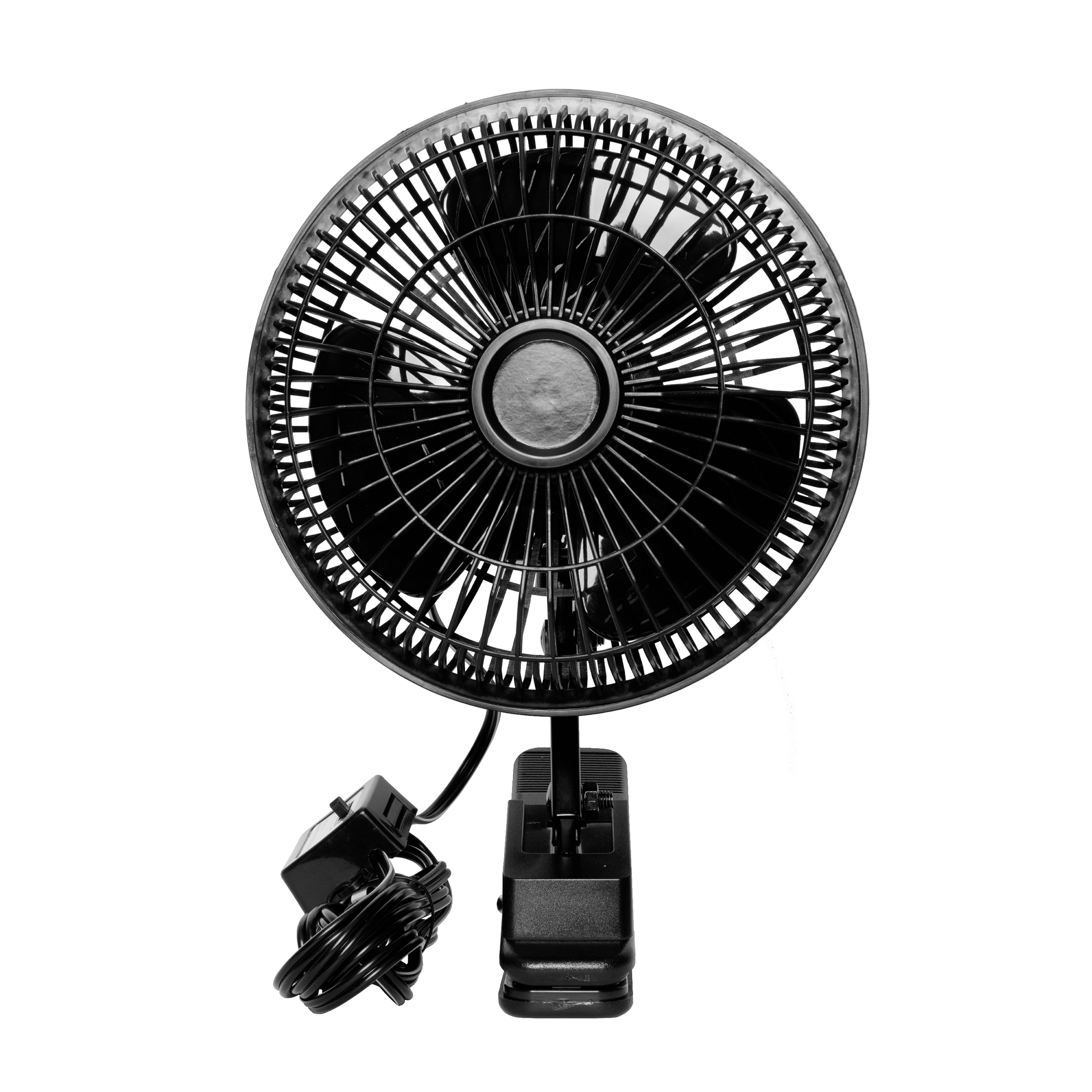 main product images